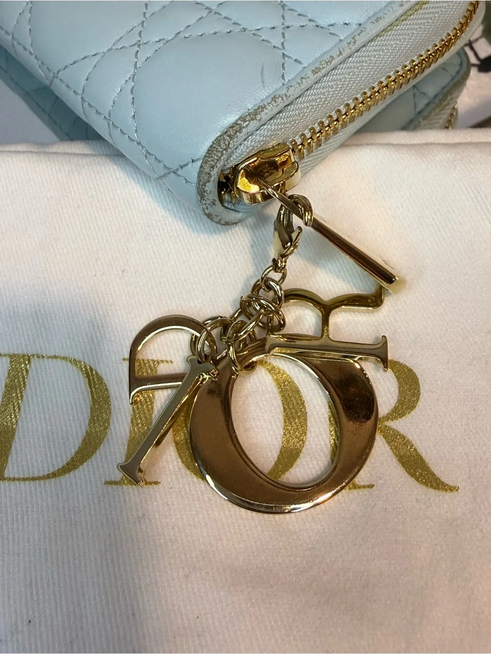 Dior lady voyageur